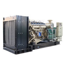 Motor de alta potencia Generar potencia Generador de gas personalizable para planta industrial